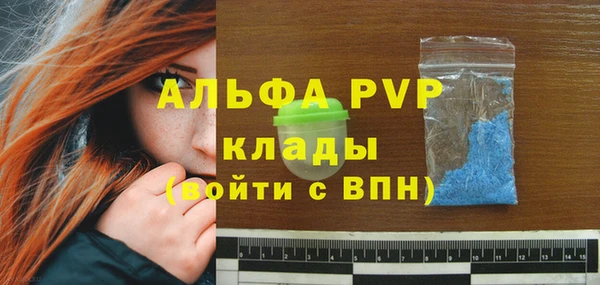 гидра Вязьма
