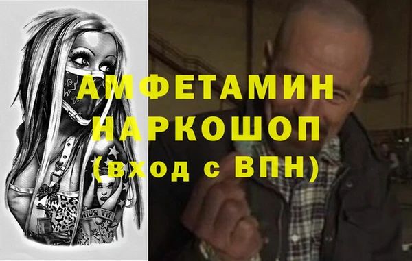 гидра Вязьма