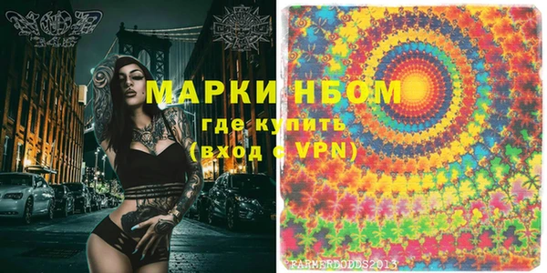 гидра Вязьма