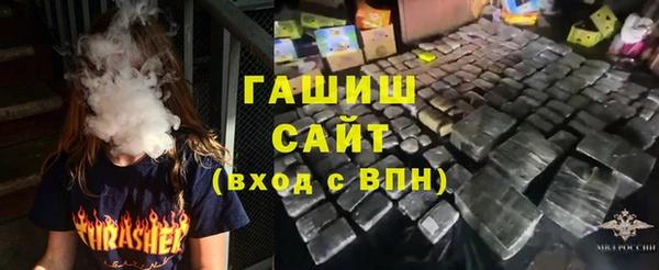 гидра Вязьма